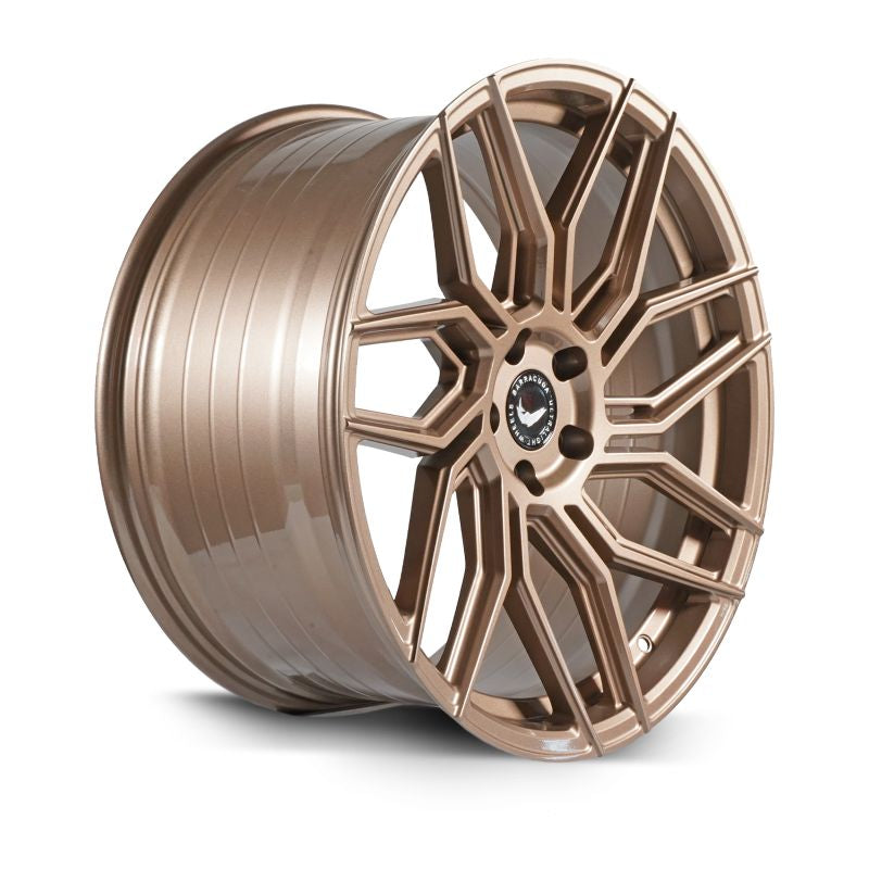 Barracuda Dragoon Higloss-Bronze