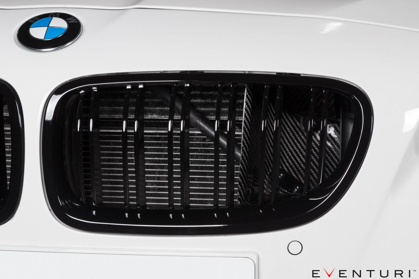 Eventuri Carbon Ansaugsystem für BMW F1X M6
