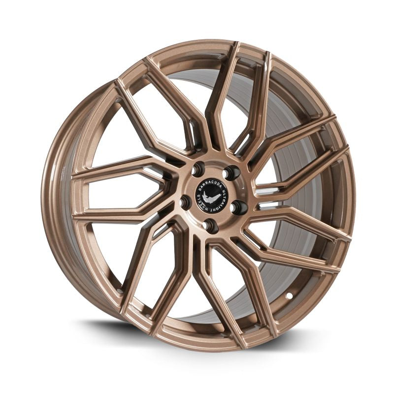 Barracuda Dragoon Higloss-Bronze