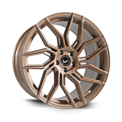 Barracuda Dragoon Higloss-Bronze