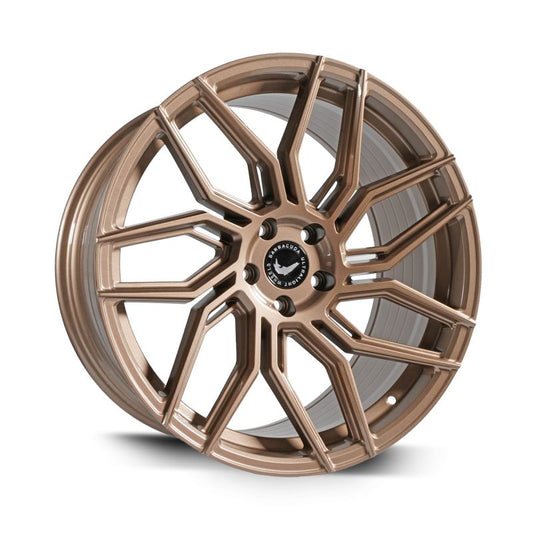 Barracuda Dragoon Higloss-Bronze