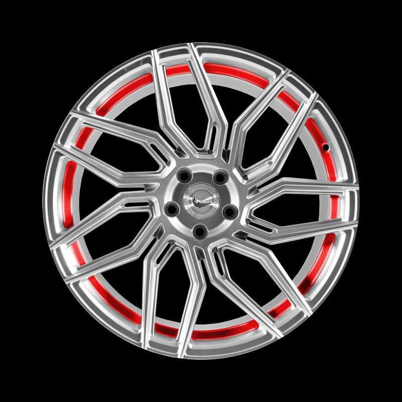 Barracuda Dragoon Silver undercut Trimline red