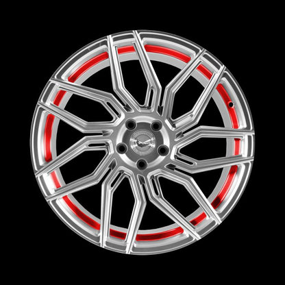 Barracuda Dragoon Silver undercut Trimline red