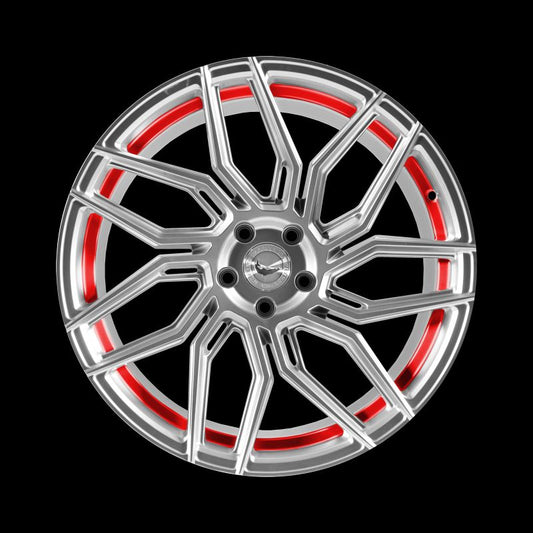 Barracuda Dragoon Silver undercut Trimline red