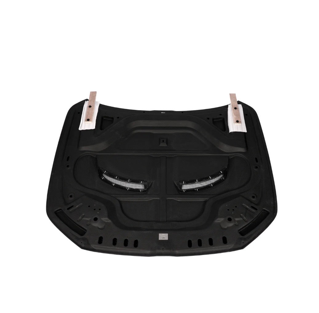 CPG RV Motorhaube Carbon passend für BMW M5 (G90/G99) - gepfeffert.com